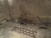 Matera: Stallungen in der Höhlenwohnung