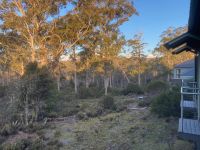 8. Reisetag – Tasmanien – Abendstimmung am Hotel