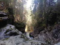 Wanderung durch das Schwarzwassertal
