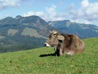 Wanderung auf dem Riezler Höhenweg