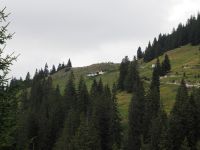 P8270062, Blick zurück zur Blaubergalm