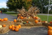 Halt neben der Kapelle...
