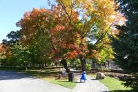 Ottawa, Rideau Hall Park
