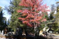 Omega Wildpark