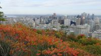 Montreal, Blick vom Mount Royal