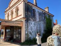 10. Reisetag – Tasmanien – Wandgemälde in Sheffield