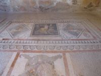 12 Delos Ausgrabungen Mosaik