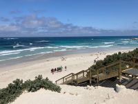 11. Reisetag – Ausflug nach Kangaroo Island – Seelöwenkolonie