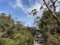 9. Reisetag – Tasmanien – Cradle Mountain-Lake St Clair National Park – Wanderung zum Crater Lake
