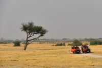 Morgendliche Pirschfahrt im Hwange NP in Simbabwe