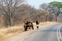 Unterwegs nach Botswana