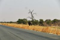 Unterwegs nach Nata in Botswana