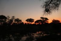 Mogotlho Lodge am Khwai Fluss - Abendstimmung