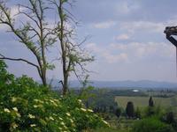 San Gimignano