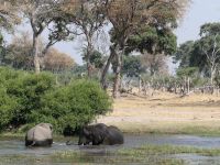 Morgendliche Pirschfahrt am Khwai - Flussüberquerung - einer hilft den anderen