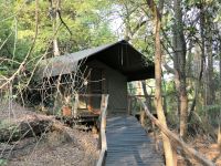 westliches Delta - Nguma Island Lodge