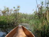 Mokoro Tour im westlichen Delta