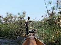 Mokoro Tour im westlichen Delta