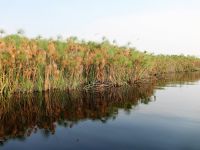 Bootstour im westlichen Delta