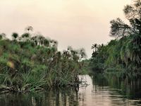 Bootstour im westlichen Delta
