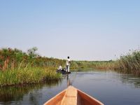 Mokoro Tour im westlichen Delta