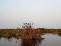 Bootsfahrt auf dem Kwando - Sonnenuntergang