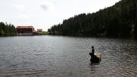0403 Mummelsee