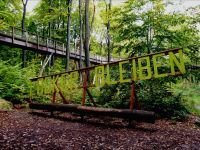 Tag 2 Baumwipfelpfad Saarschleife