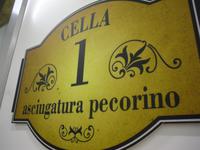 Besichtigung der Käserei