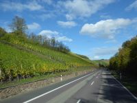 Tag 6 Weinberge an der Saar