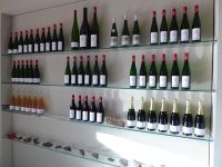 Tag 6 Weinprobe bei Günther Jauch im Weingut Othegraven