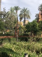 Sevilla Alcazar 