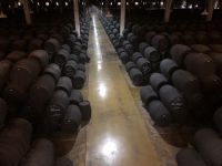 Jerez de la Frontera Bodega