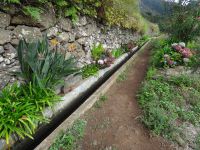 entlang der Levada