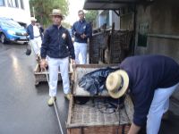 Monte: Abfahrt der Korbschlitten