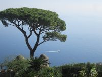 Mittelmeervegetation über azurblauem Meer