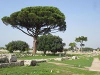 Paestum