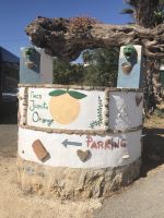 Finca Juanito Orange