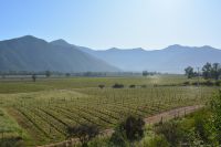 Chile und Osterinsel -  Casablace-Tal