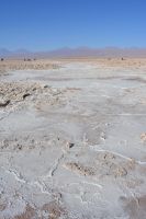 Chile und Osterinsel -  Salzsee Laguna Chaxa (6)