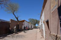 Chile und Osterinsel -  San Pedro (1)