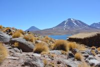 Chile und Osterinsel - Atacama-Wüste - Lagune Miscanti (3)