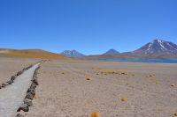 Chile und Osterinsel - Atacama-Wüste - Lagune Miscanti (7)