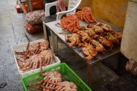 Chile und Osterinsel -  Puerto Montt - Fischmarkt (2)