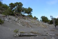 Chile und Osterinsel -  Torres del Paine - Lago Grey (1)