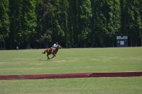 Chile und Osterinsel - Colchagua Tal - Weingut Casa Silva (3)