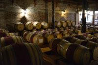 Chile und Osterinsel - Colchagua Tal - Weingut Casa Silva (11)