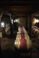 Chile und Osterinsel - Colchagua Tal - Weingut Casa Silva (12)