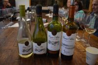 Chile und Osterinsel - Colchagua Tal - Weingut Casa Silva (16)