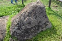 Chile und Osterinsel - Vogelmann